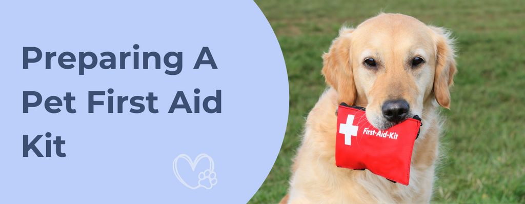 Preparing A Pet First Aid Kit