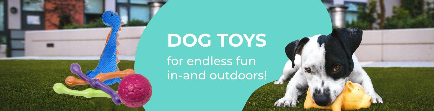 Buy Dog Toys - Interactive Online From Top Pet Brands – Pet Haus