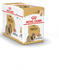 Royal Canin - Breed Health Nutrition Shih Tzu 1 Box
