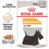 Royal Canin - Canine Care Nutrition Dermacomfort (12*85g) - PetHaus General Trading LLC