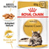 Royal Canin - Feline Breed Nutrition Maine coon (85g) 1 pouch