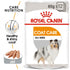 Royal Canin - Canine Care Nutrition Coat Beauty (12*85g) - PetHaus General Trading LLC