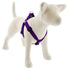 Lupine Pet - Small Dog Basics Step In Harness (1/2″) - PetHaus General Trading LLC