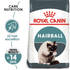 Royal Canin - Feline Care Nutrition Hairball Care - PetHaus General Trading LLC