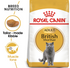 Royal Canin - Feline Breed British Shorthair Adult (4kg) - PetHaus General Trading LLC