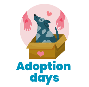 Adoption days icon