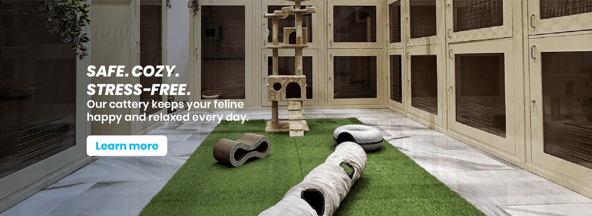 Safe. Cozy. Stress-Free - Our cattery keeps your feline happy and relaxed every day