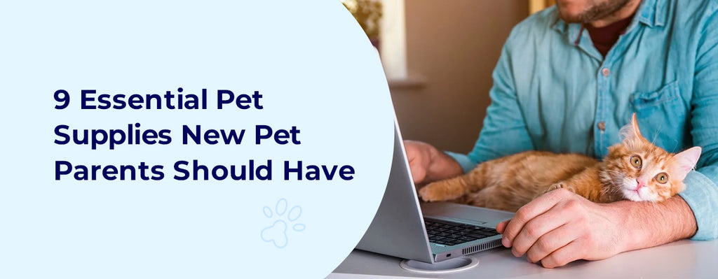 9 Essential Pet Supplies Every New Pet Owner Should Have