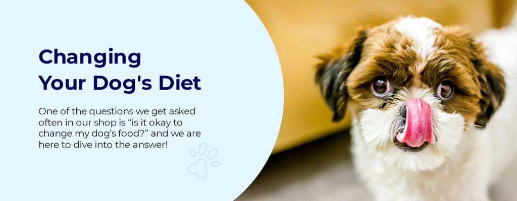 Changing Your Dog's Diet