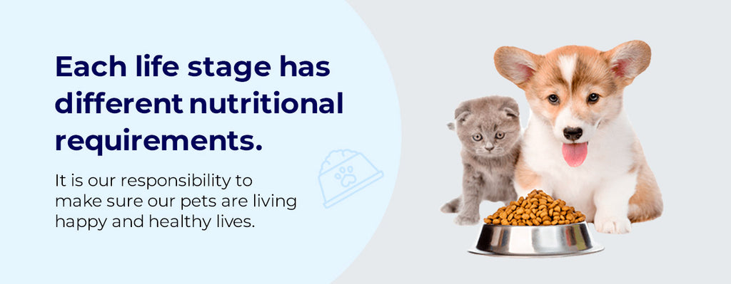 Nutrition For Different Life Stages Of A Pet