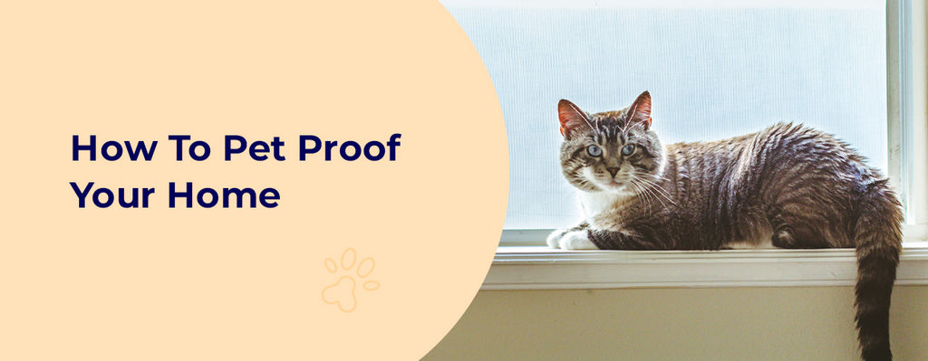 How To Pet Proof Your Home