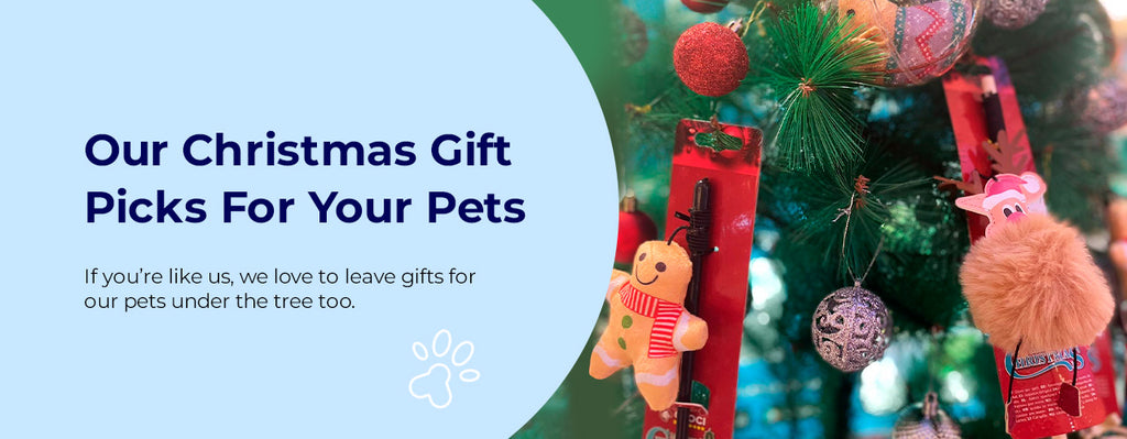 Our Christmas Gift Picks For Your Pets