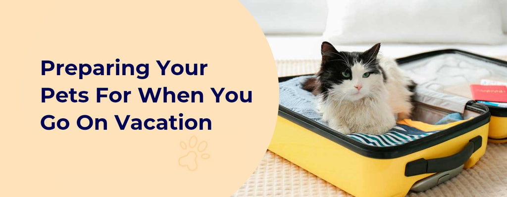 Preparing Your Pets For When You Go On Vacation