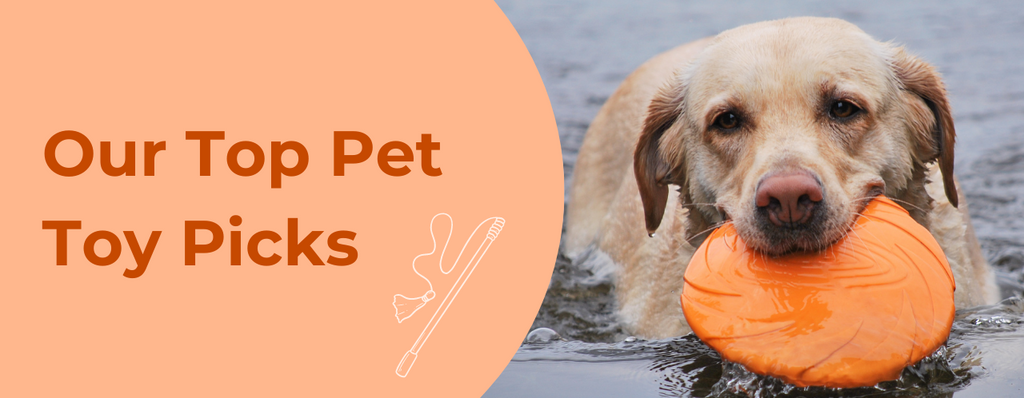 Our Top Pet Toy Picks