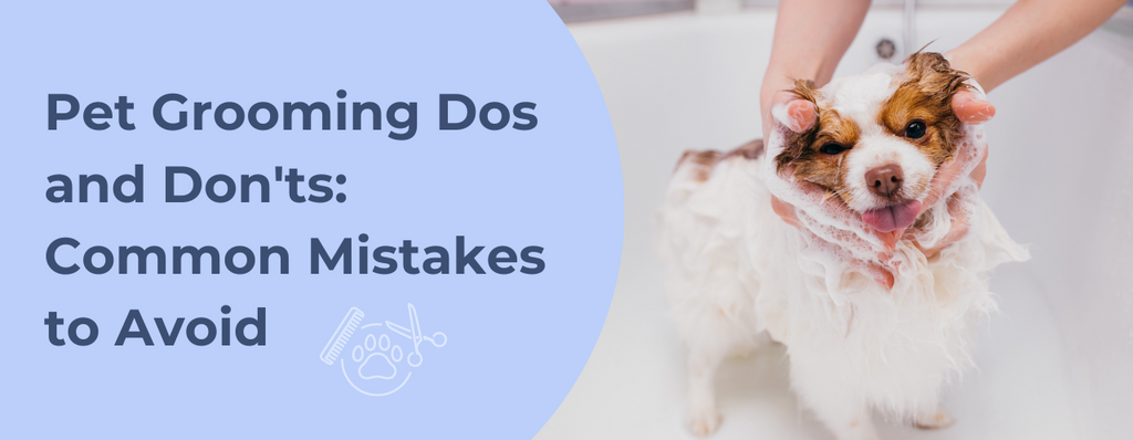 Pet Grooming Dos and Don'ts: Common Mistakes to Avoid