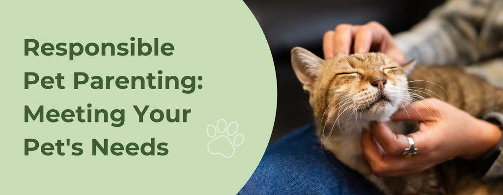 Responsible Pet Parenting: Meeting Your Pet's Needs