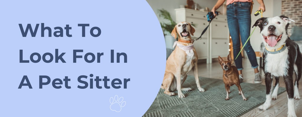 What To Look For In A Pet Sitter