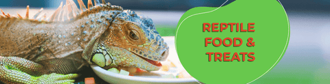 Reptiles Food Supplements