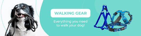 Walking Gear - Leashes
