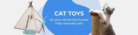 Cat Scratch Toys