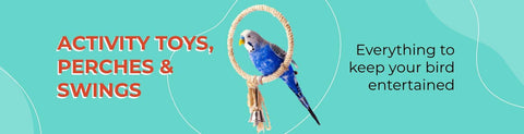Bird Perches &amp; Swings