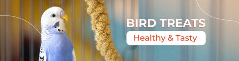 BIRD TREATS