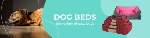 Dog Beds - Elevated &amp; Cooling