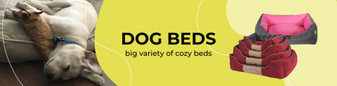 DOG BEDS