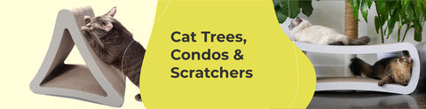 Cat Scratcher &amp; Trees - Cardboard