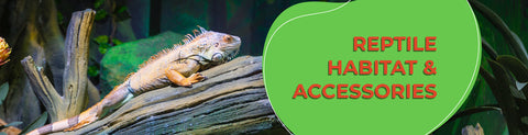 Reptile Substrate &amp; Bedding