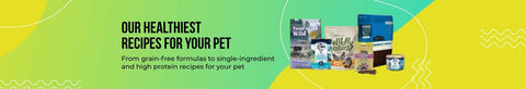 Healthy Recipes for Your Pet