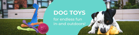 Dog Toys - Squeaky