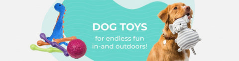 Dog Toys - Throw &amp; Fetch