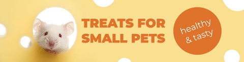 Small Pets Treats