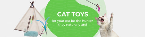 Cat Wand &amp; Teaser Toys