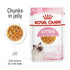 Royal Canin - Feline Health Nutrition Kitten Jelly 1 Pouch