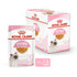 Royal Canin - Feline Health Nutrition Kitten Jelly 1 Box