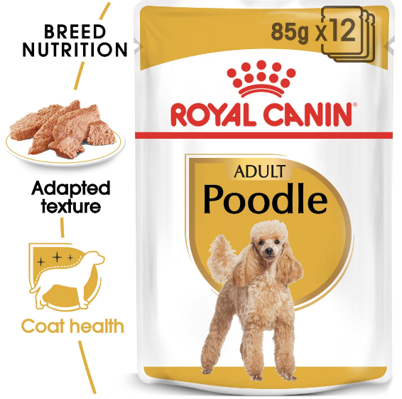 Royal Canin - Breed Health Nutrition Poodle Adult (85g) - PetHaus General Trading LLC