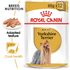 Royal Canin - Breed Nutrition Yorkshire Adult (85g) - PetHaus General Trading LLC