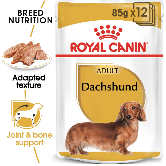Royal Canin - Breed Health Nutrition Dachshund Adult (85g) - PetHaus General Trading LLC