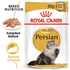 Royal Canin - Feline Breed Nutrition Persian (85g) - PetHaus General Trading LLC