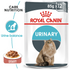 Royal Canin - Feline Care Nutrition Urinary Care (85g) - PetHaus General Trading LLC