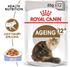 Royal Canin - Feline Health Nutrition Ageing 12+ Jelly (85g) - PetHaus General Trading LLC