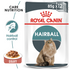 Royal Canin - Feline Care Nutrition Hairball Gravy 1 Pouch