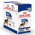 Royal Canin - Size Health Nutrition Maxi Adult 1 Box