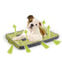 All For Paws - Quick Dry Outdoor Dog Mat
