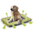 All For Paws - Quick Dry Outdoor Dog Mat