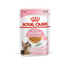 Royal Canin - Feline Health Nutrition Kitten Sterilised Jelly1 Box