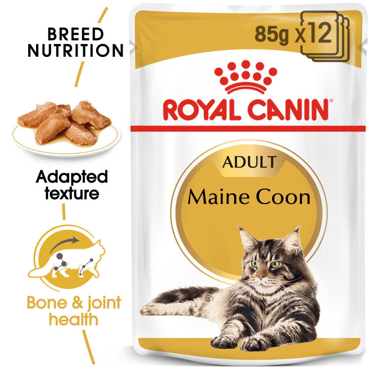 Royal Canin - Feline Breed Nutrition Main coon (85g) 1 pouch
