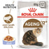 Royal Canin - Feline Health Nutrition Ageing 12+ Jelly